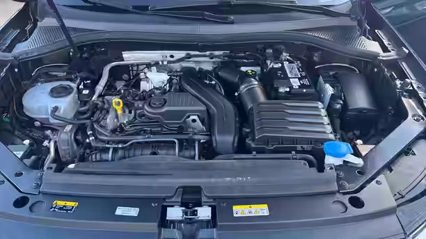 VOLKSWAGEN TIGUAN 15 / 25