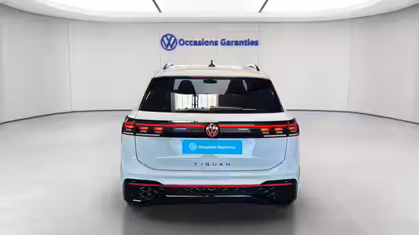 VOLKSWAGEN TIGUAN 4 / 17