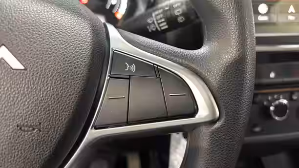 DACIA SPRING 20 / 21