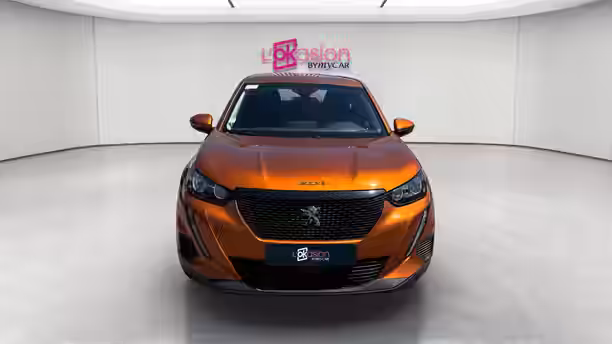 PEUGEOT 2008 8 / 25