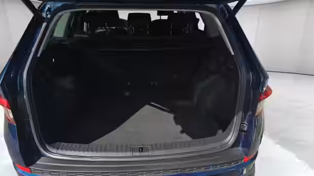 SKODA KODIAQ 14 / 20