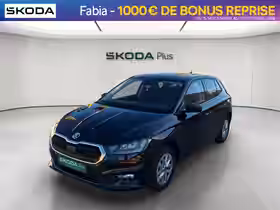 FABIA Selection 1.0 TSI 116 ch EVO 2 DSG7