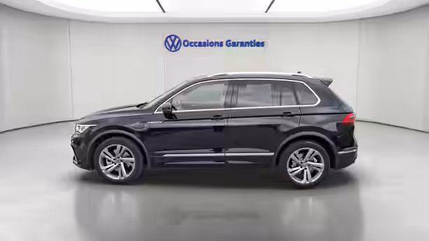VOLKSWAGEN TIGUAN 2 / 17