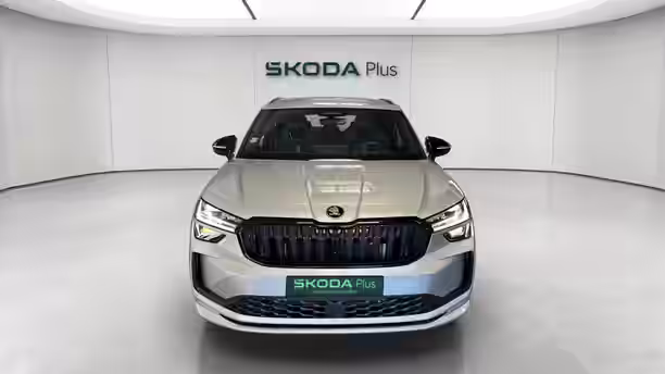 SKODA KODIAQ 8 / 18