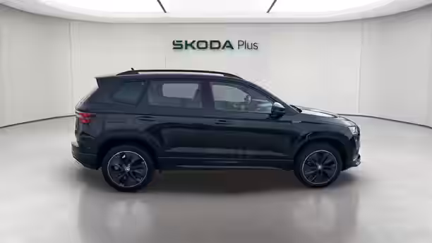 SKODA KAROQ 6 / 19
