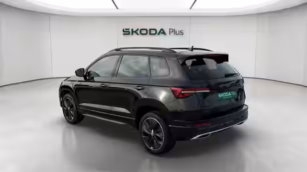 SKODA KAROQ 3 / 19