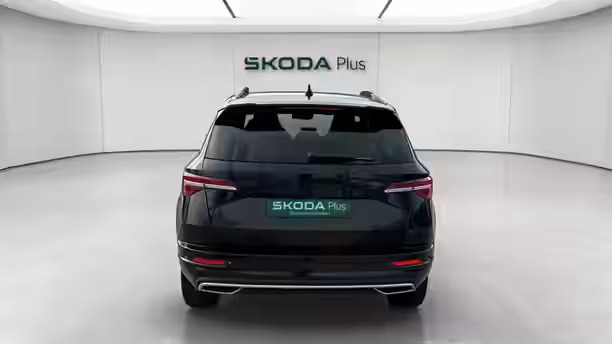 SKODA KAROQ 4 / 19