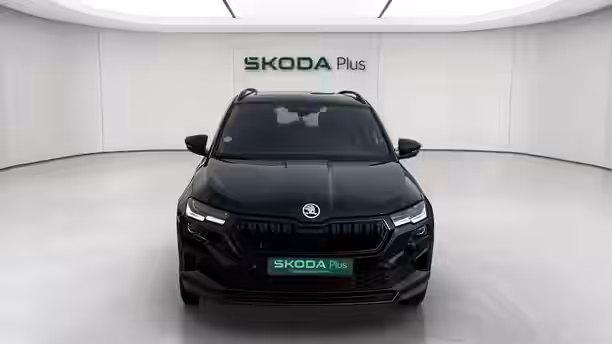 SKODA KAROQ 8 / 19