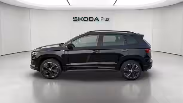 SKODA KAROQ 2 / 19