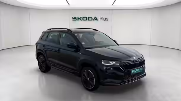 SKODA KAROQ 7 / 19