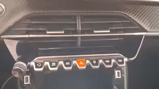PEUGEOT 208 ELECTRIQUE 22 / 30