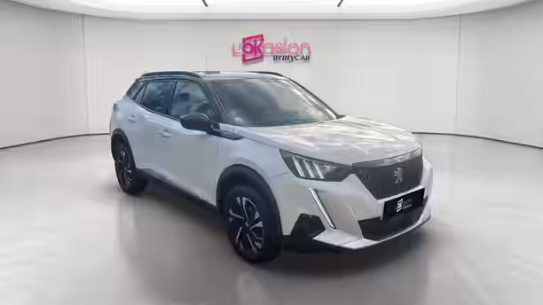 PEUGEOT 2008 7 / 21