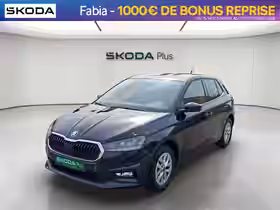 FABIA Selection 1.0 TSI 116 ch EVO 2 DSG7