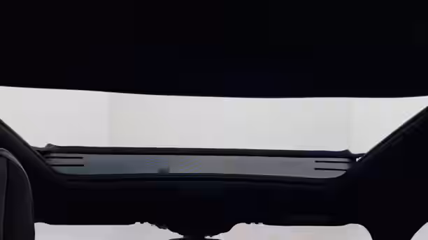 AUDI RS Q3 23 / 60