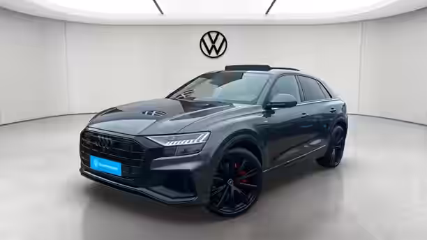 AUDI Q8 1 / 30
