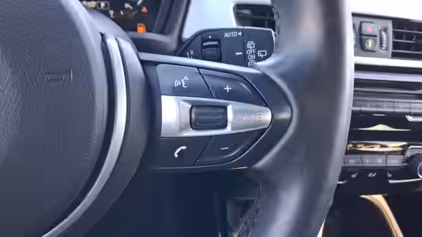 BMW X2 F39 44 / 71