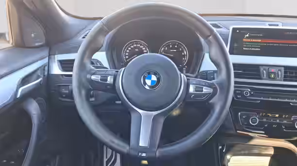 BMW X2 F39 10 / 71
