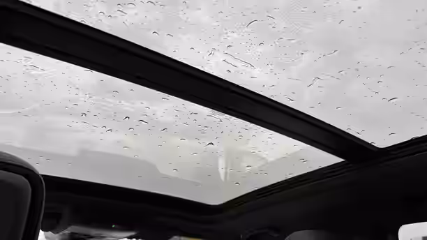VOLKSWAGEN TIGUAN 19 / 19