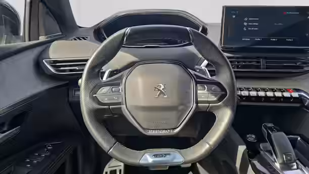 PEUGEOT 3008 11 / 21