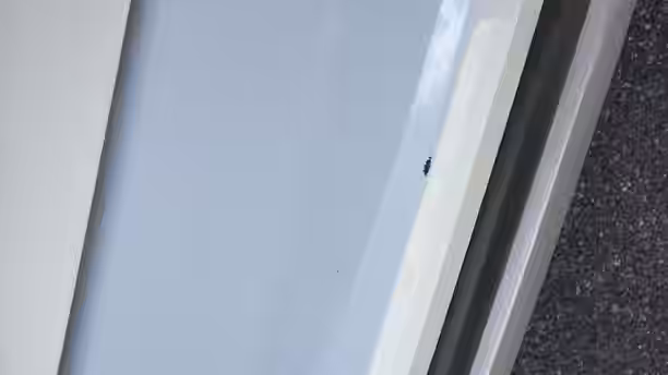 VOLKSWAGEN T-CROSS 25 / 25