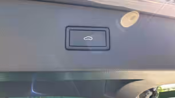 VOLKSWAGEN TIGUAN BUSINESS 19 / 31