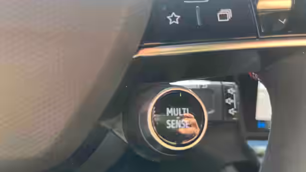 RENAULT AUSTRAL 17 / 22
