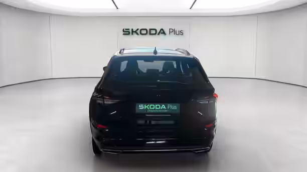 SKODA KODIAQ 4 / 18