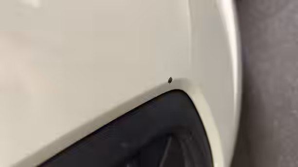 VOLKSWAGEN POLO 23 / 24