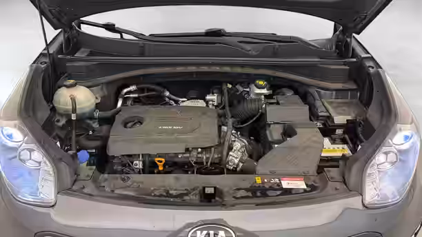 KIA SPORTAGE 19 / 33