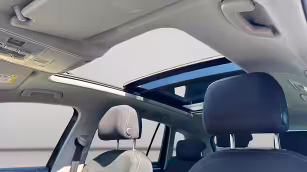 VOLKSWAGEN TIGUAN 17 / 29