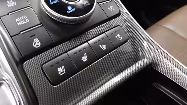 HYUNDAI SANTA FE 19 / 34