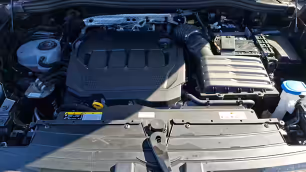 VOLKSWAGEN TIGUAN 15 / 25