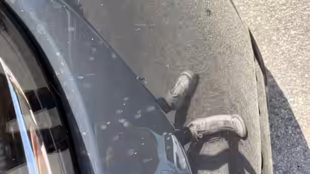 VOLKSWAGEN TIGUAN 44 / 44