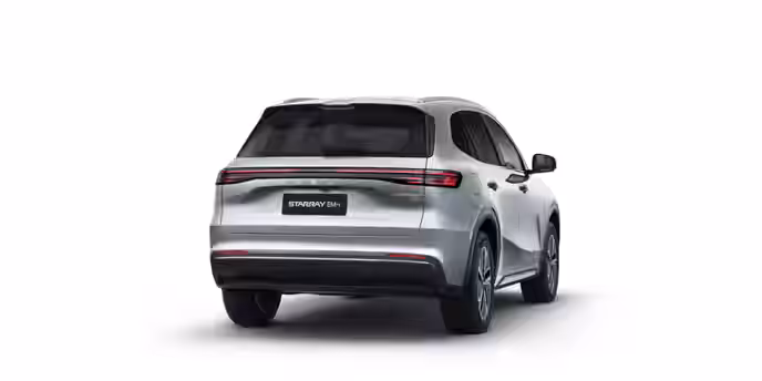 GEELY STARRAY 9 / 24