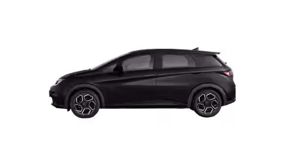 BYD DOLPHIN 2 / 6