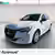PEUGEOT 208 AFFAIRE