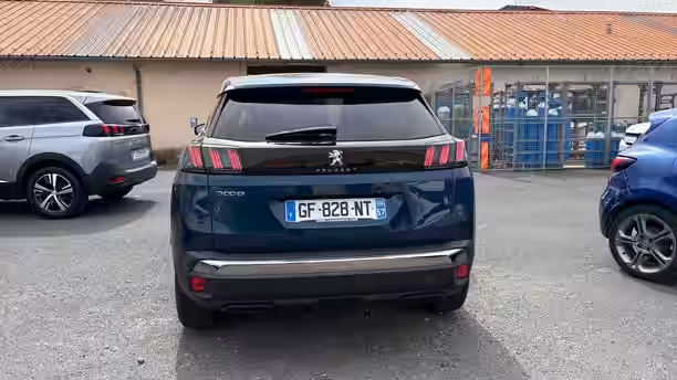 PEUGEOT 3008 4 / 33