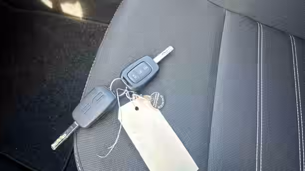 DACIA SANDERO 25 / 25