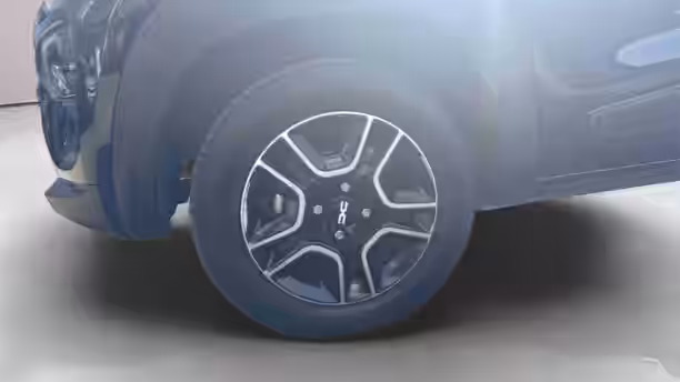 DACIA SPRING 14 / 25