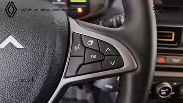 DACIA JOGGER 24 / 31