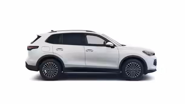 VOLKSWAGEN TIGUAN 6 / 39