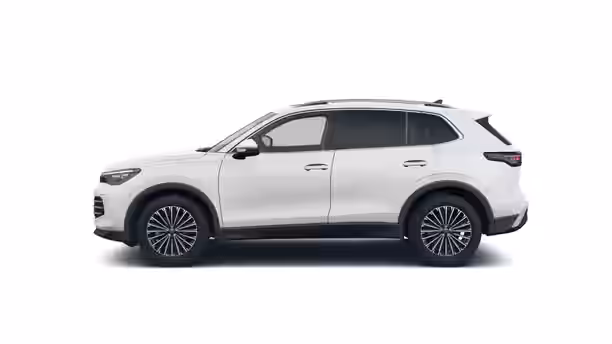 VOLKSWAGEN TIGUAN 2 / 42