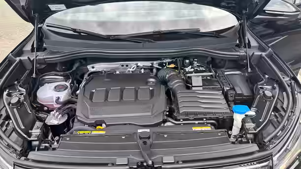 VOLKSWAGEN TIGUAN 15 / 31