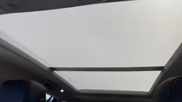 VOLKSWAGEN PASSAT 39 / 39