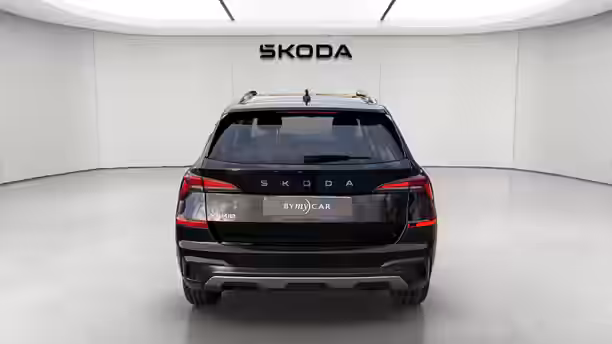 SKODA KAMIQ 4 / 22
