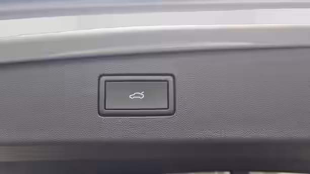 VOLKSWAGEN TIGUAN 14 / 42