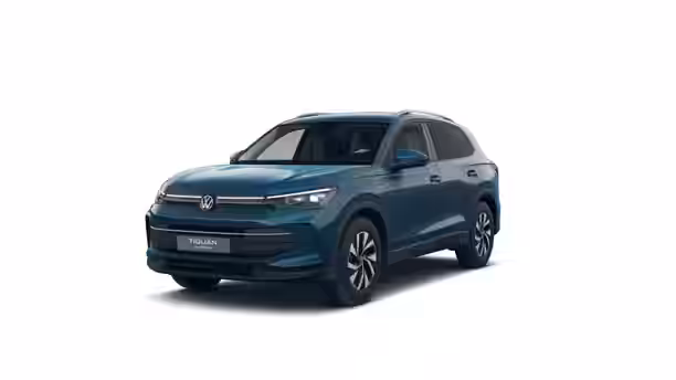 VOLKSWAGEN TIGUAN 1 / 21