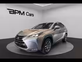 NX Luxe 300h 4WD 