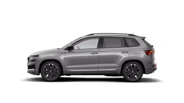 SKODA KAROQ 2 / 3