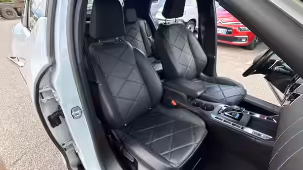 DS DS 3 CROSSBACK 31 / 31